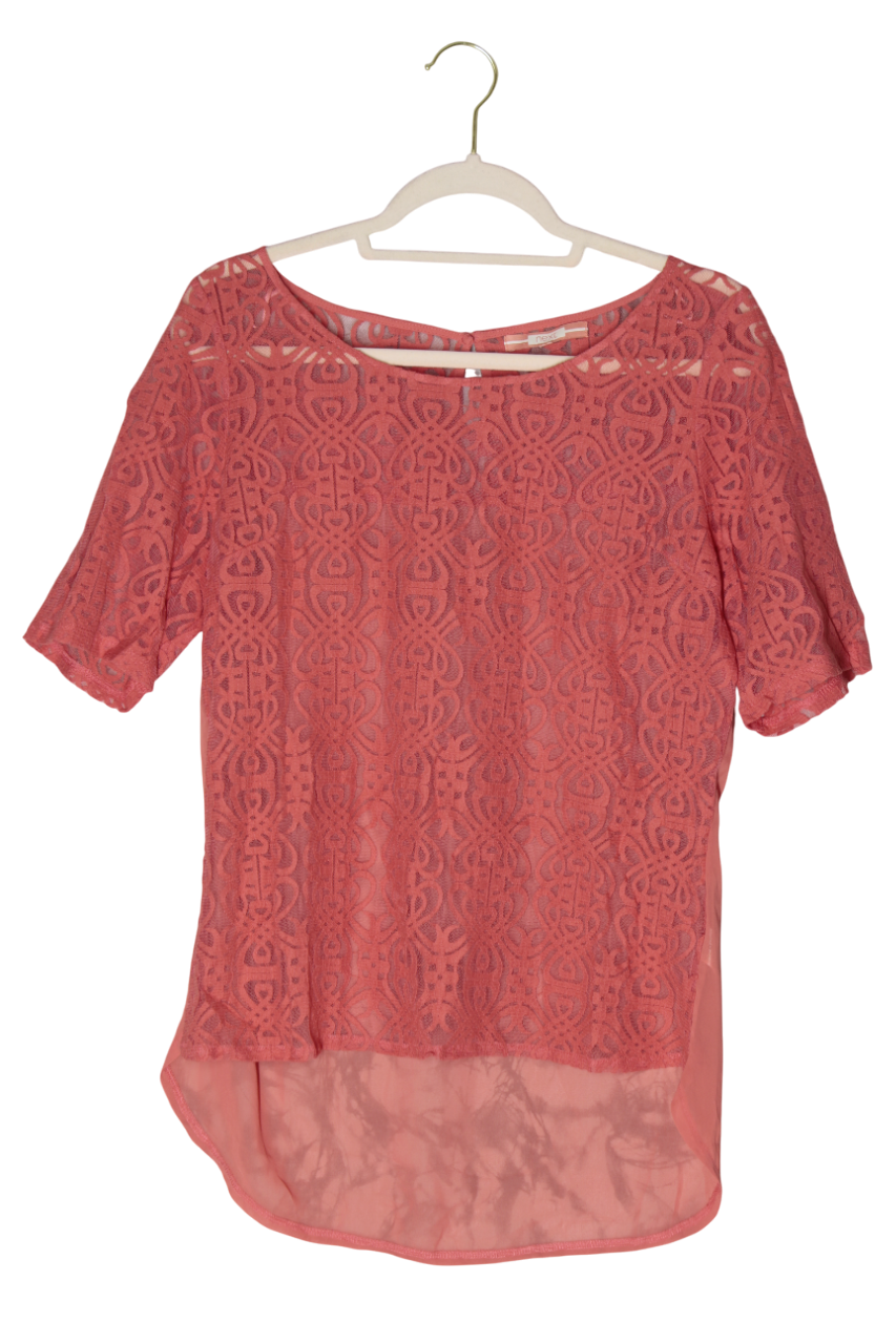 PALAIDINĖ TF20047 L