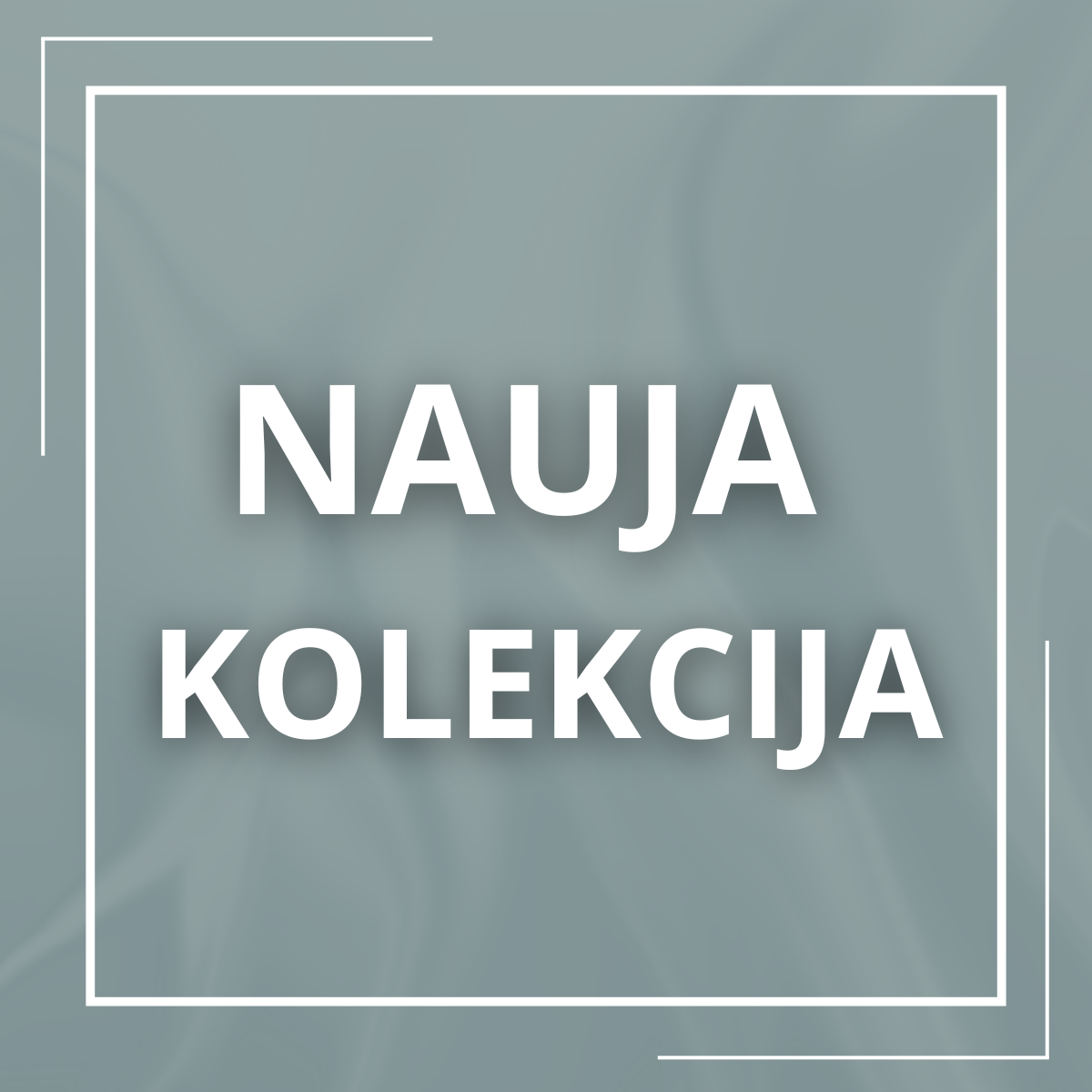 Nauja kolekcija!
