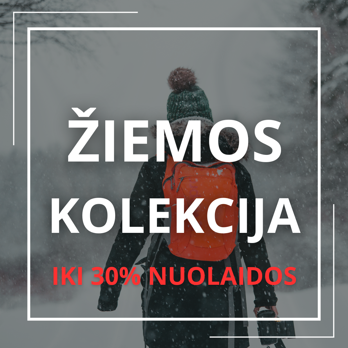 Žiemos kolekcija